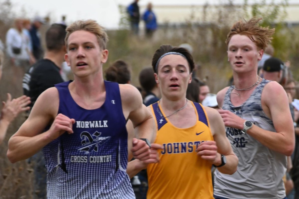 Boys cross country team to compete at state