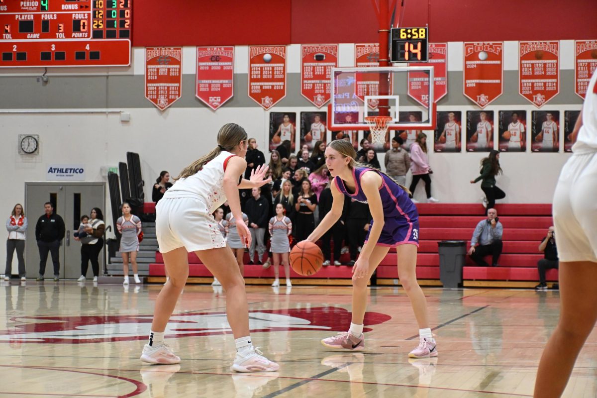 DCG sophomore Ava Smid (left) guards Norwalk sophomore Braylyn Birmingham in a losing effort to the Warriors in January 2026.